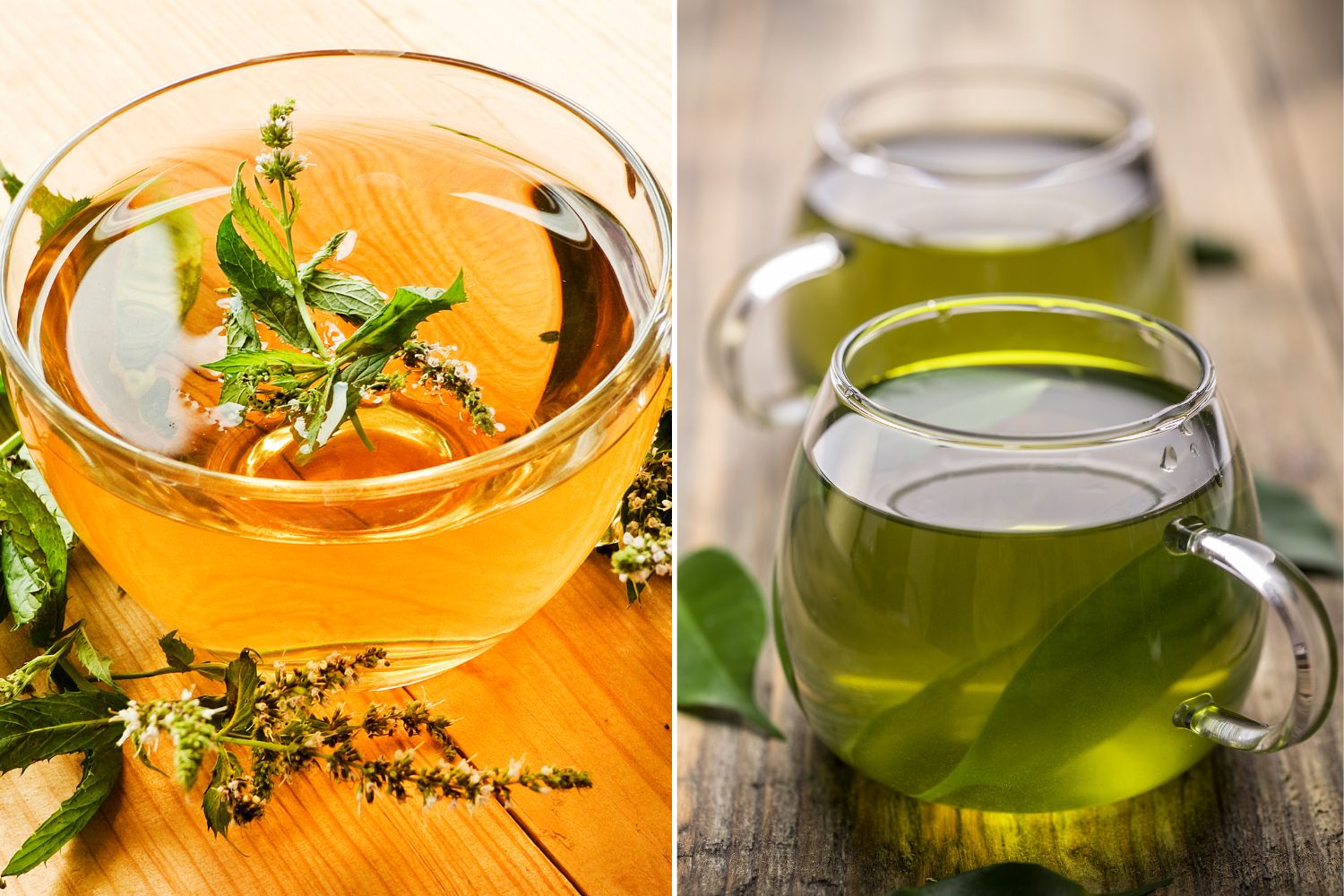 Green Tea vs Peppermint Tea