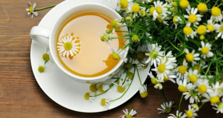 Facts Every Chamomile Tea Drinker Should Know